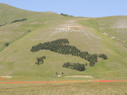 GeoDino118d
