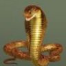 cobra70