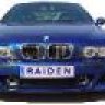 Raiden