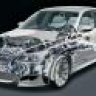 *STIG*