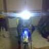 lillo7780