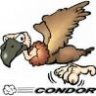 condor.condor
