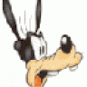 pippo167