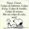 itagallo