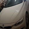 Whiteshark97