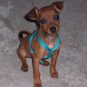 Soso
