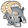Billy Goat