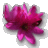 ely
