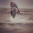 Andy_us1111