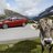 Braghin218d